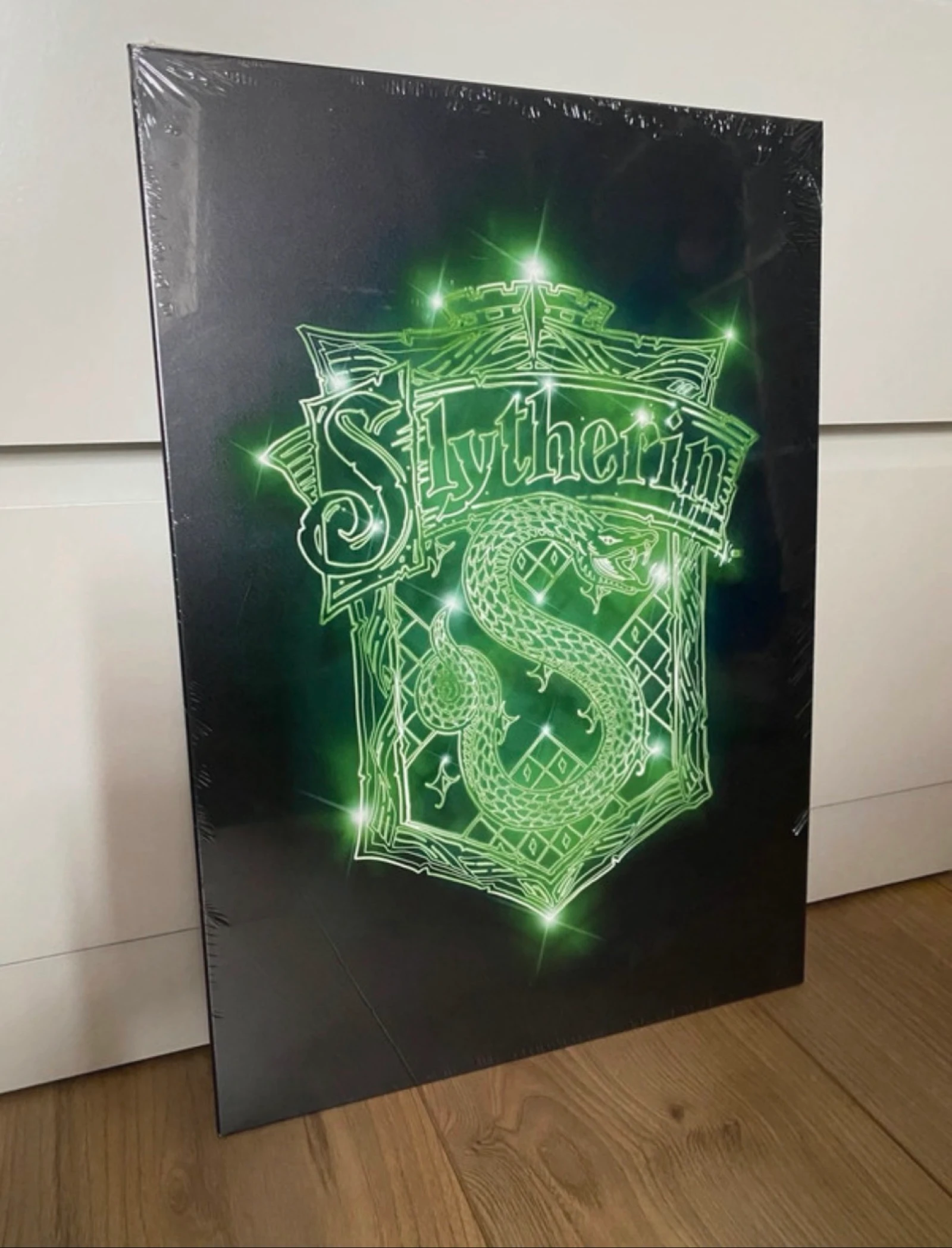 Displate officiel Harry Potter Serpentard métal 45 × 32 neuf – photo 2